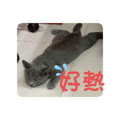 Yi Ling_20250412194833