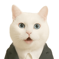 意味深な猫