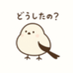Every day animals pictures