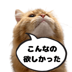 red tabby cats stamp_named kojiro