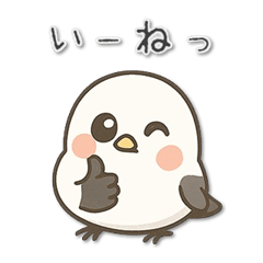 Cute long-tailed tit "Shiromof"1