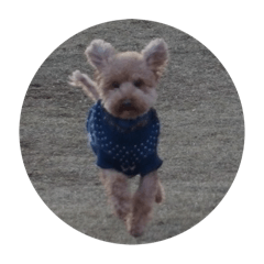 tommy_20250415