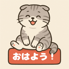 スコティッシュフォールドの毎日