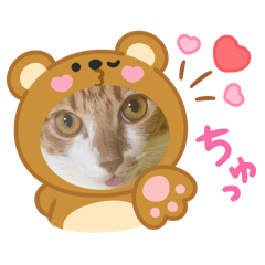 kiki_20250415084848