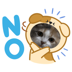 ki_20250415142425