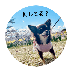 Tomo_20250415131959