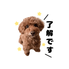 gon_20250415122021