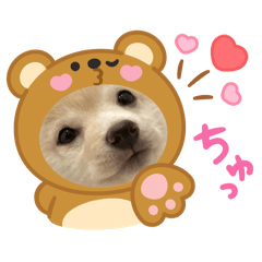 KOMUGI_20250415122647