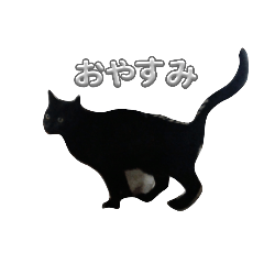 karin_20250415122331