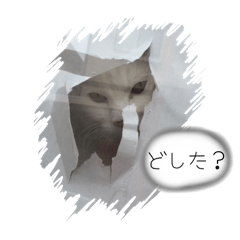 Misaki_20250414103517