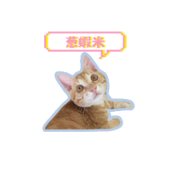 eggeggchubby is my name
