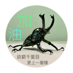 BTz-甲虫 (甲蟲）