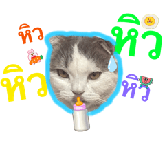 Cat_20250410183037