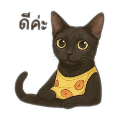 Pakchira  sticker_20250410170532