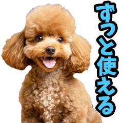 ずっと使える♡わんこ