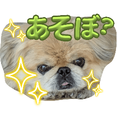 mana_20250415144040