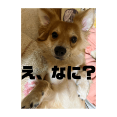 yuto_20250415171653