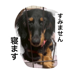 kaede_20250415173840