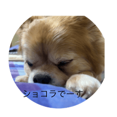 Taki_20250415173951