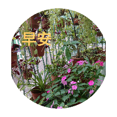 愛的小宇（3）