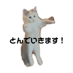 ry_20250415180001