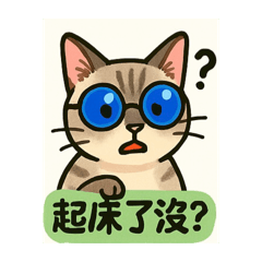 實用貓貓1