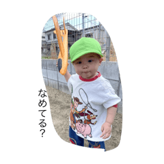 Hazu_20250415153530