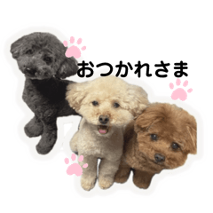 RinRin_20250415183021