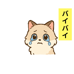 momoka_20250414191824
