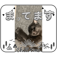 komugi_20250415191045