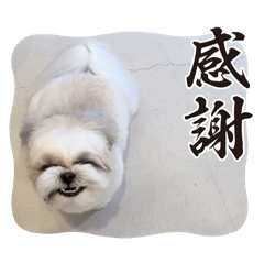 Key_20250415173105