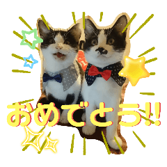 やんちゃーず！