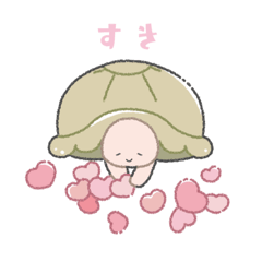 cute tortoise @miko