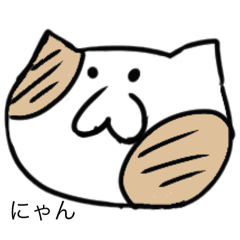 ぶちにゃんこの日常