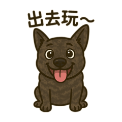 嘟嘟是一隻虎斑狗