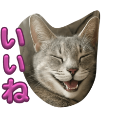 Yuuki_20250415210305