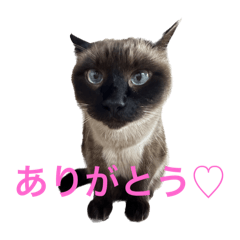 yurina_20250415181200