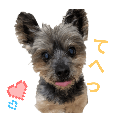 kana_20250415212521
