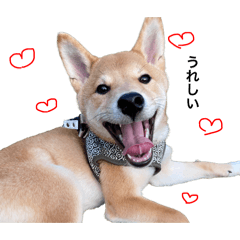 ichi_20250415213140