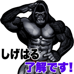 Shigeharu dedicated macho gorilla