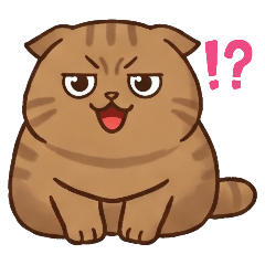 tabby mimi