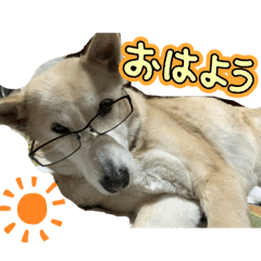 AsU_20250415191351