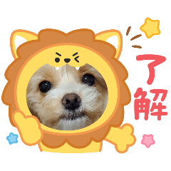 COOSTAMP2