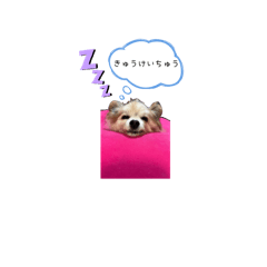 pon_20250415203239