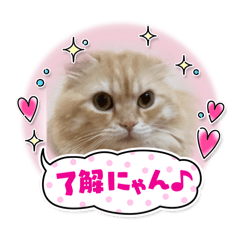 MAYUMI_20250415204509