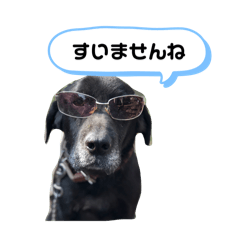 Moko_20250416082830