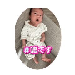 aoi_20250415215416