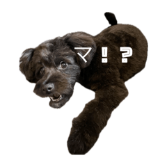 Y_20250416084926