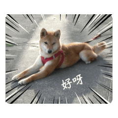 日常用語～～