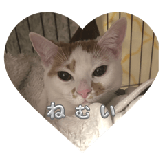 MUGI_20250416003107